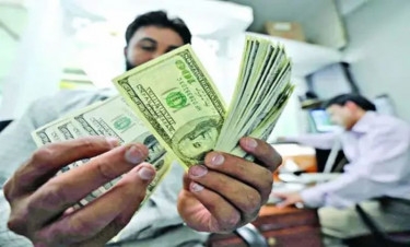 131 crore 52 lakh dollars remittances received in just 20 days
